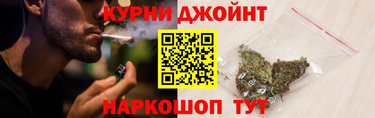Конопля сатива Новоуральск